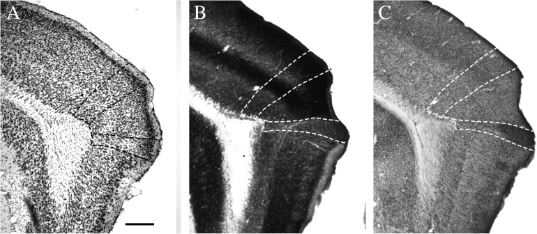 Figure 11.