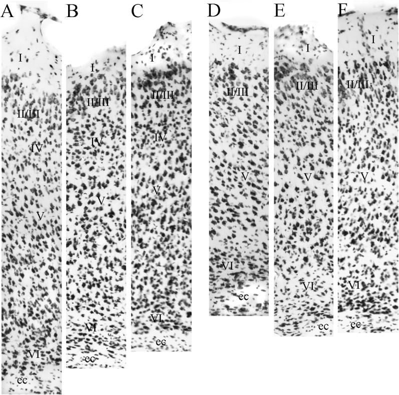 Figure 13.