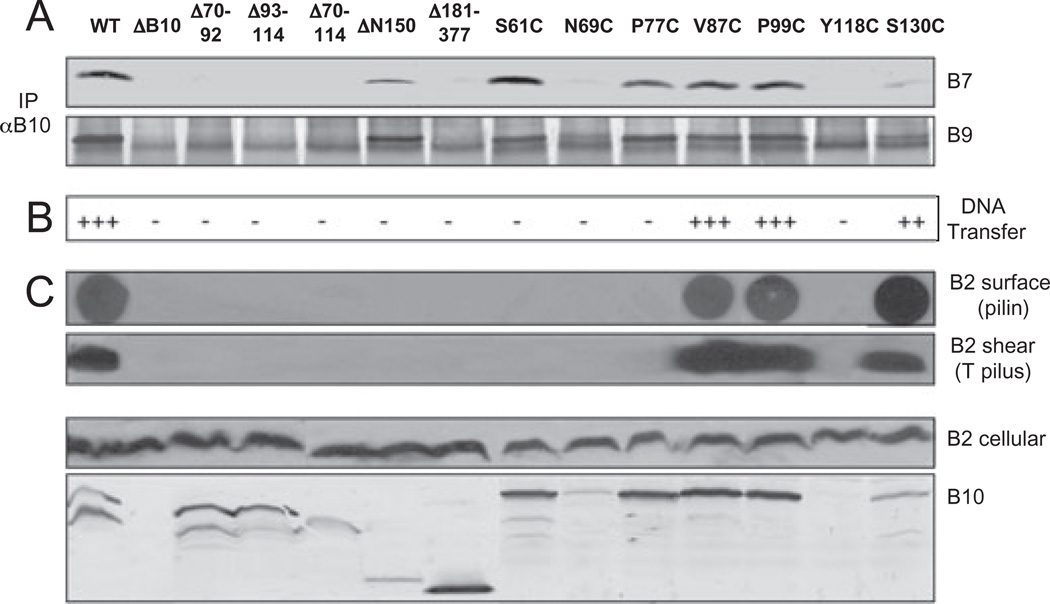 Fig. 4