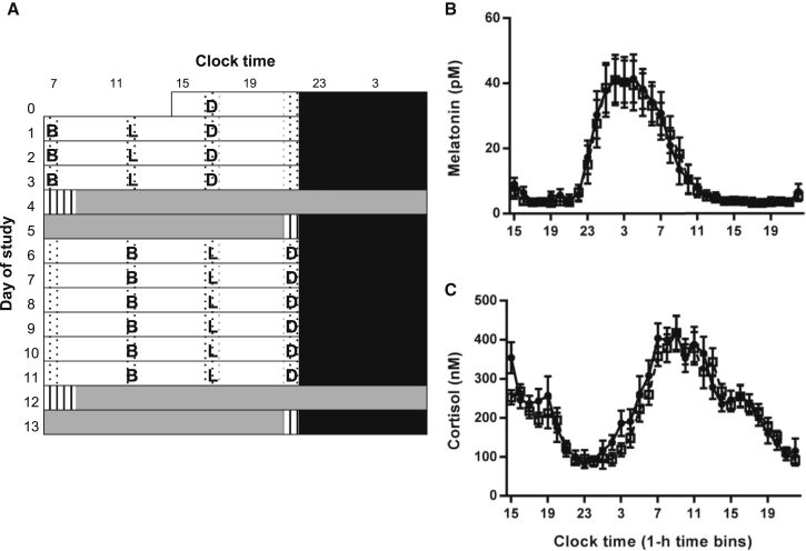 Figure 1