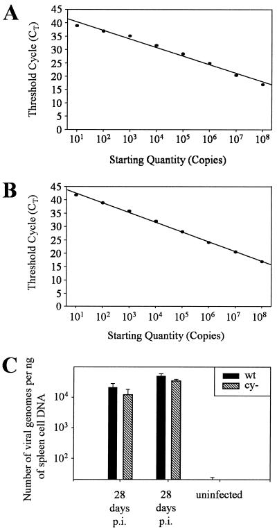 FIG. 6