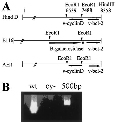 FIG. 1