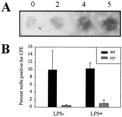 FIG. 7