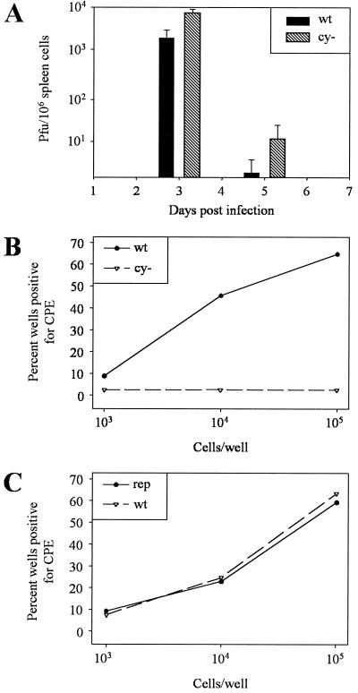 FIG. 5