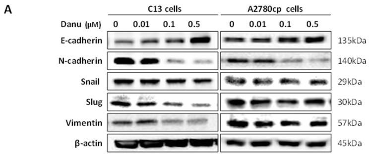 Figure 13