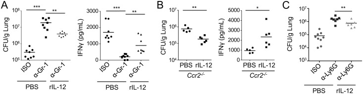 Fig 8