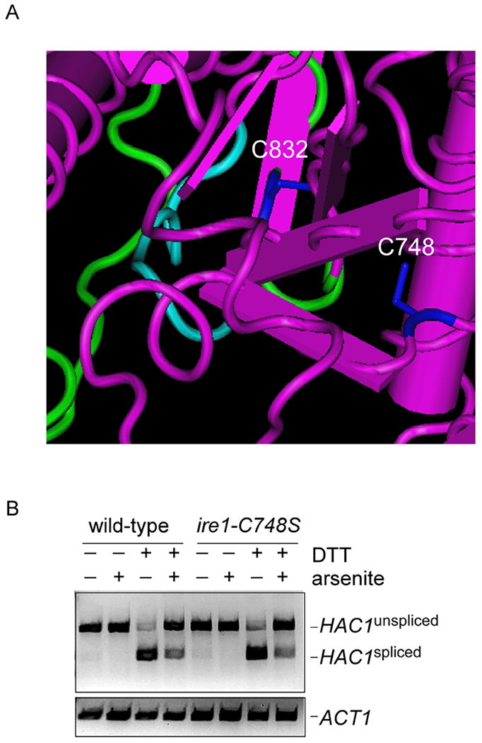 Figure 3.