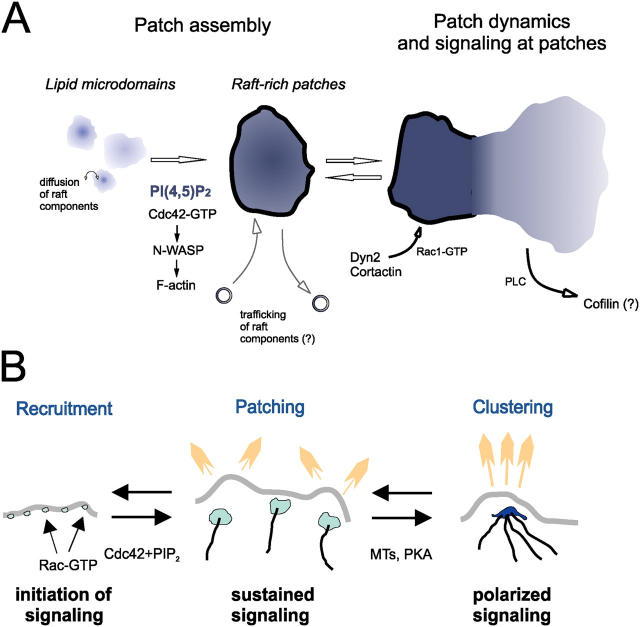 Figure 10.