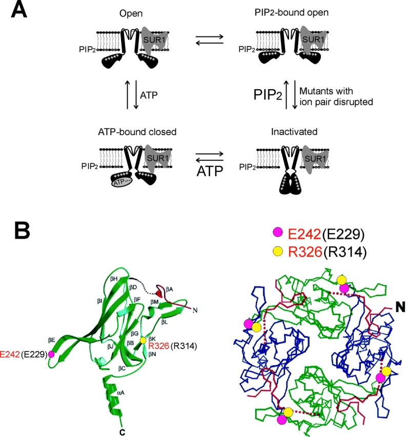 Figure 9. 