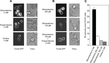 Figure 11.