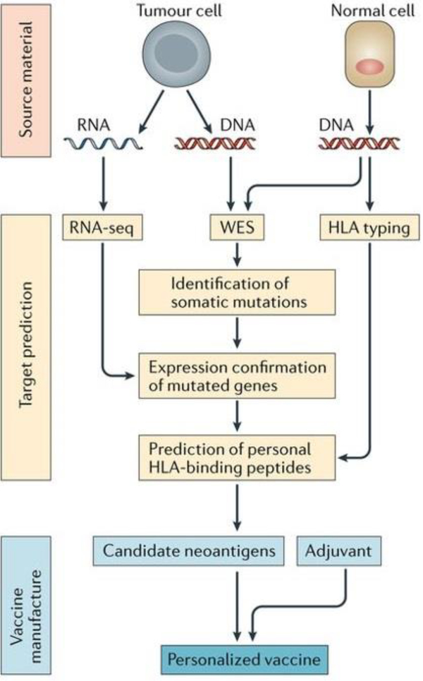 Fig. 10.