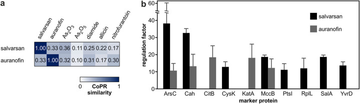 FIG 6