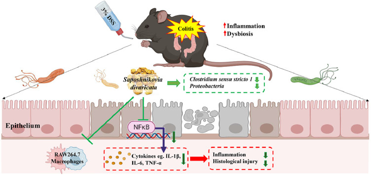 Image, graphical abstract