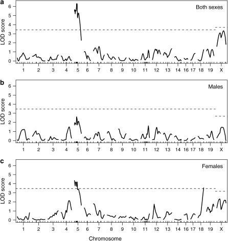 Figure 4.—