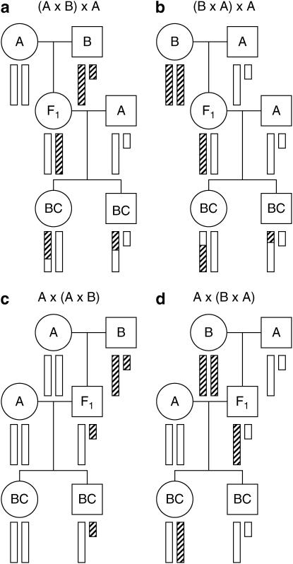 Figure 1.—