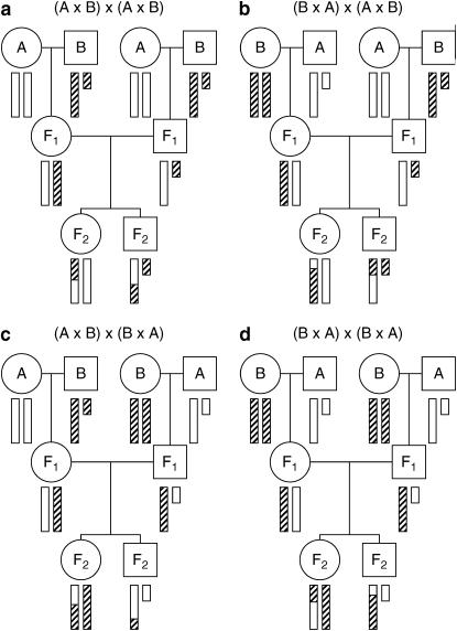 Figure 2.—