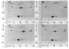 Fig. 10