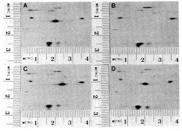 Fig. 10