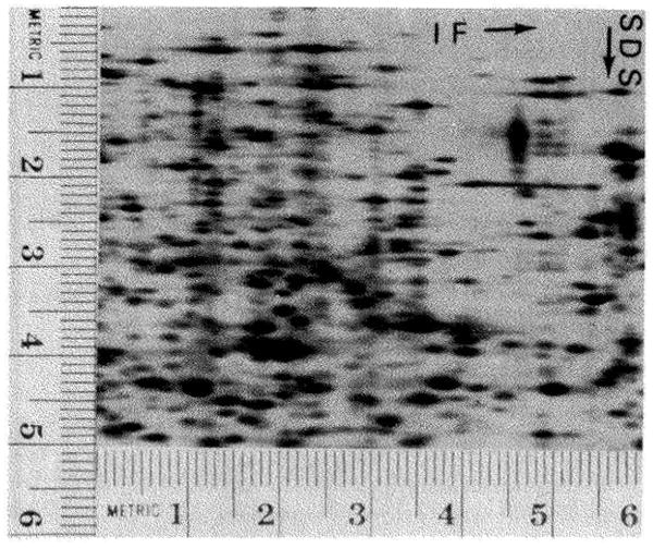 Fig. 12