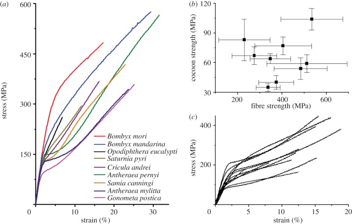 Figure 3.