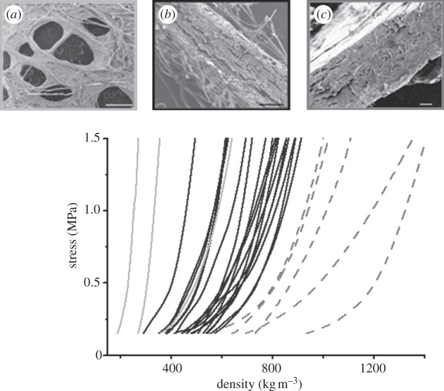 Figure 7.