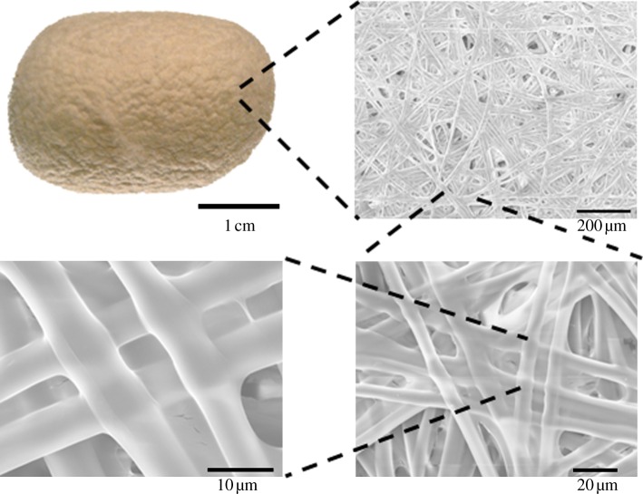 Figure 1.