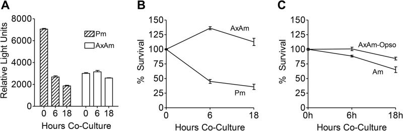 Fig 6