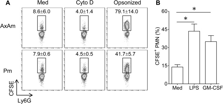 Fig 1