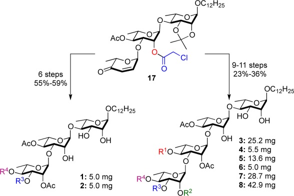 Scheme 3