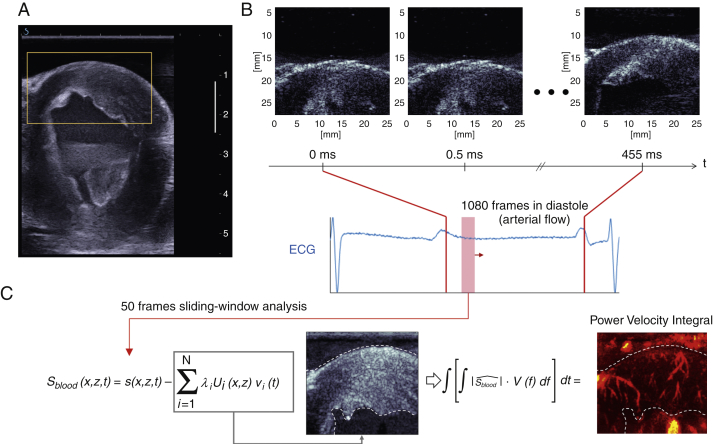 Figure 1