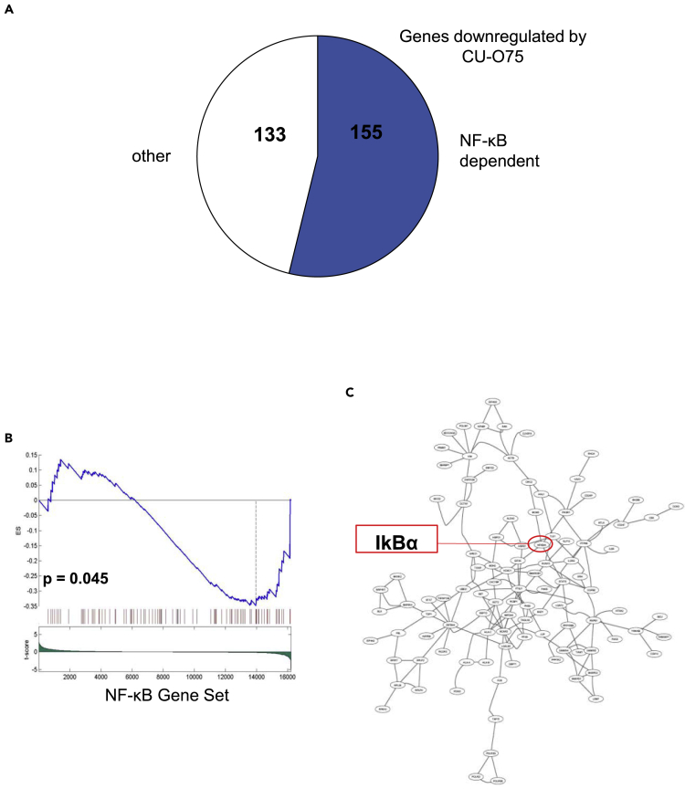 Figure 5