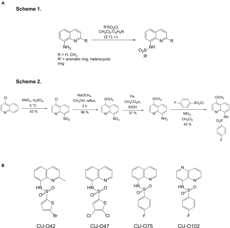 Figure 1