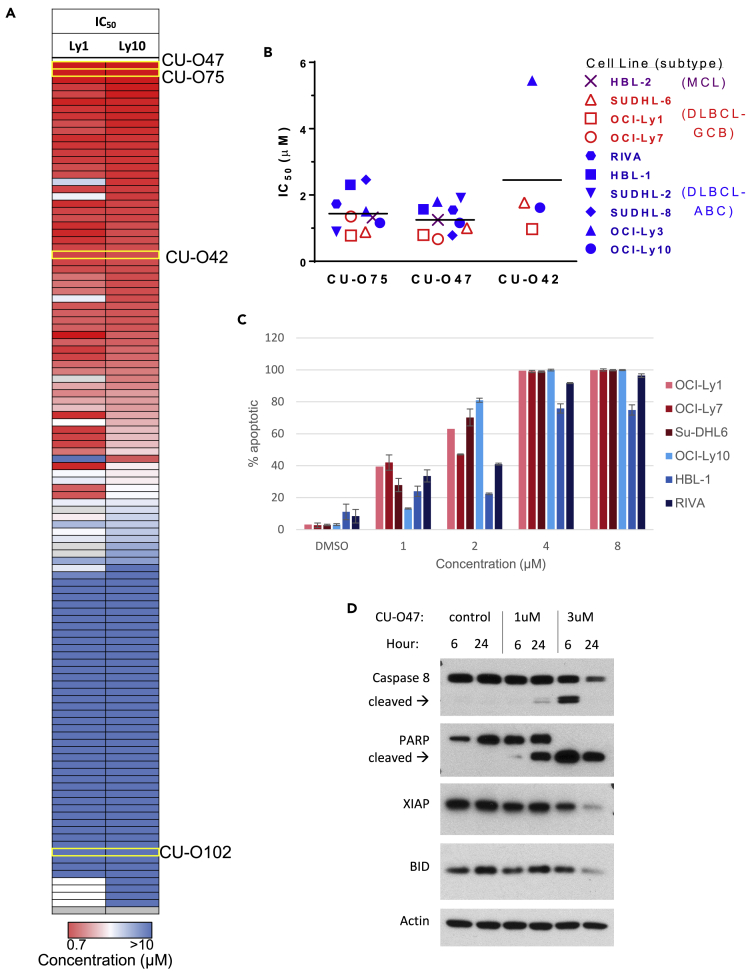 Figure 2