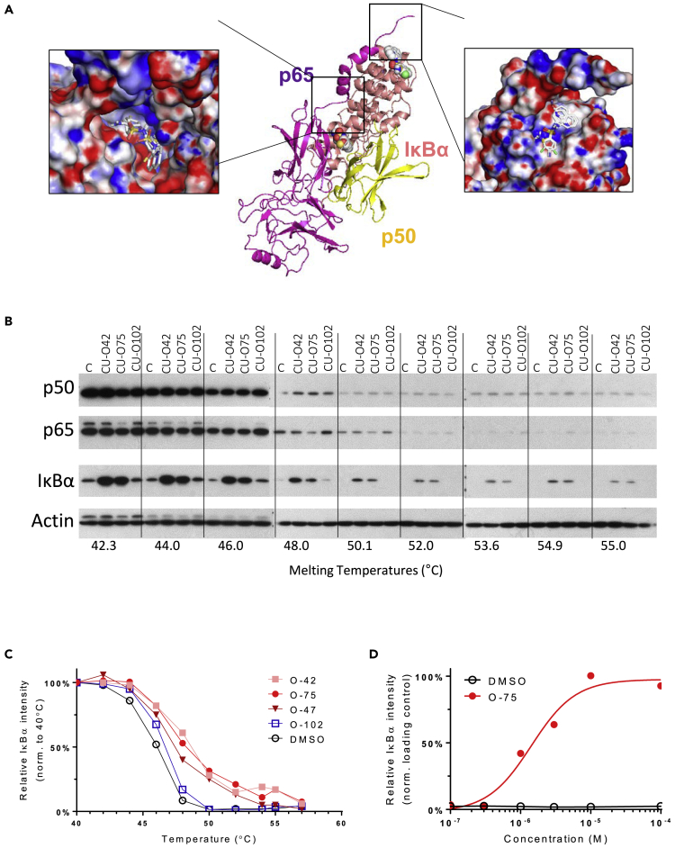 Figure 4