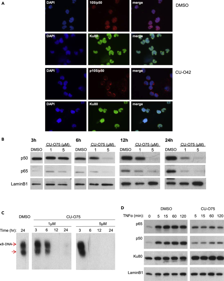 Figure 3