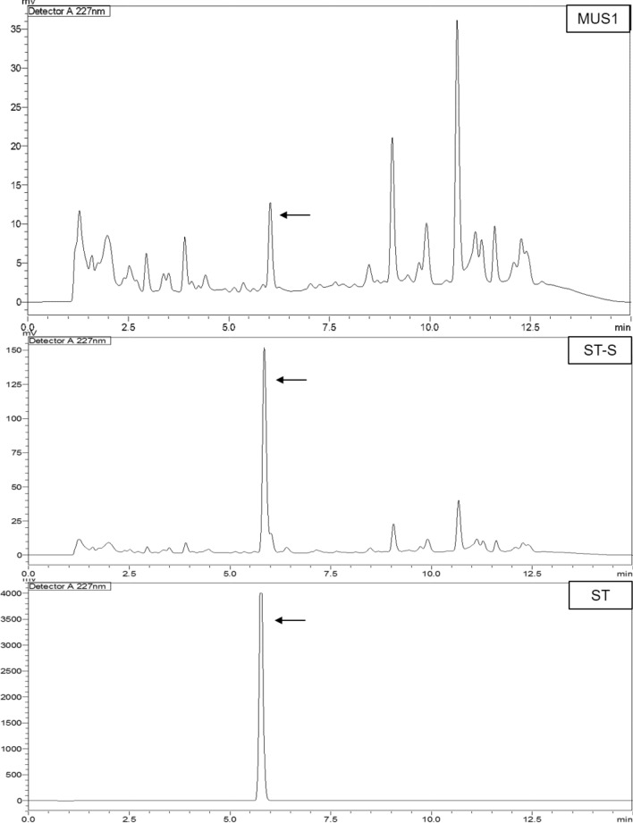 Fig. 10