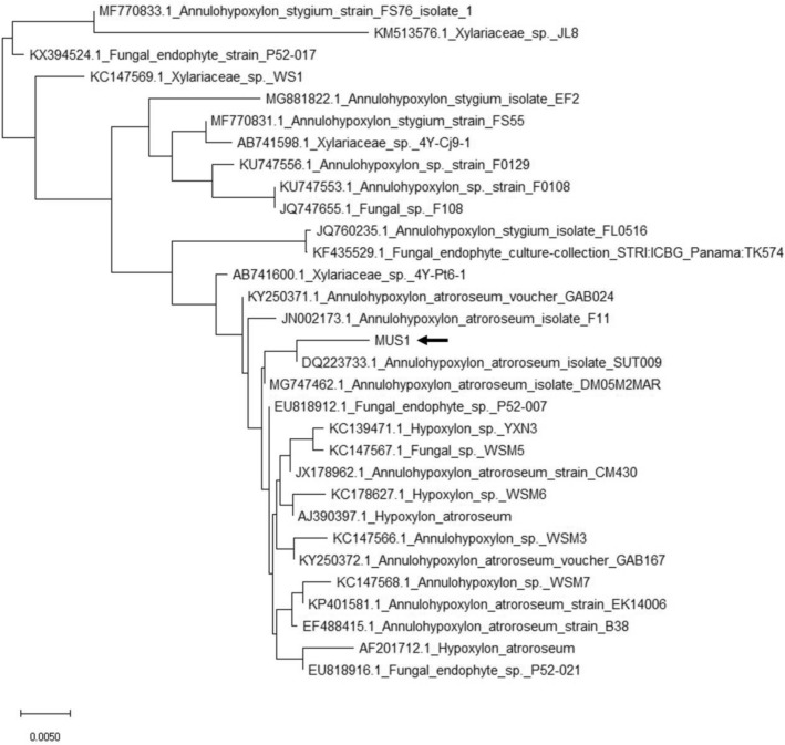 Fig. 3