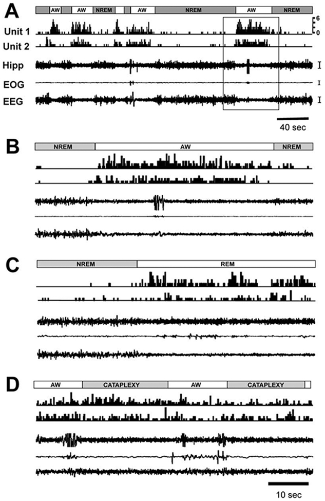 Figure 6.