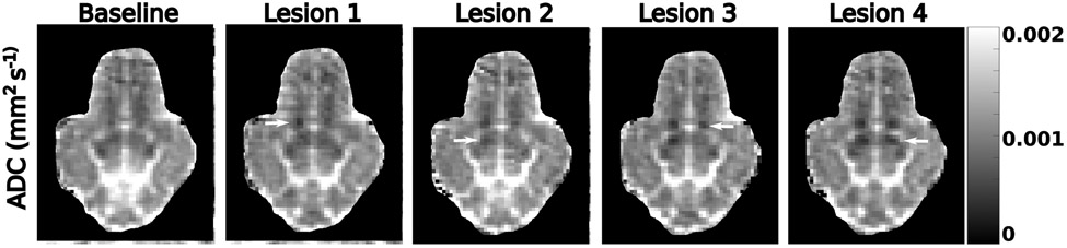 Figure 4: