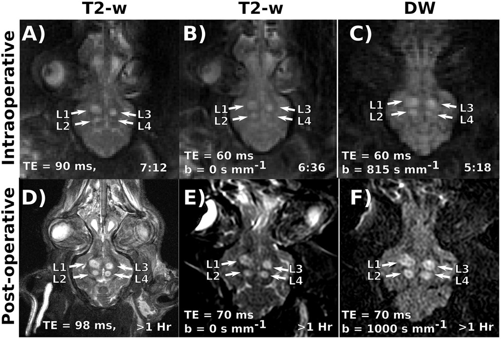 Figure 2: