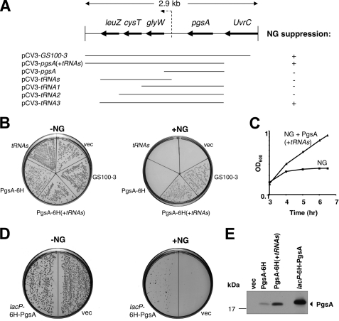 FIGURE 2.