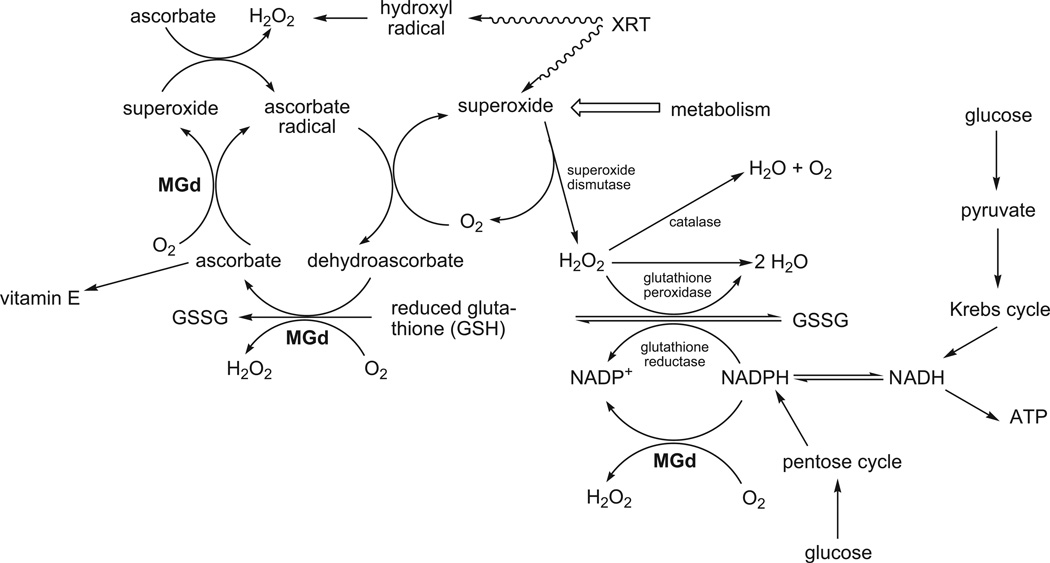 Fig. 2