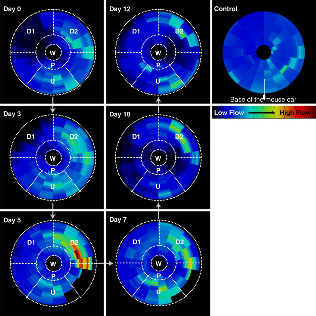 Fig. 4