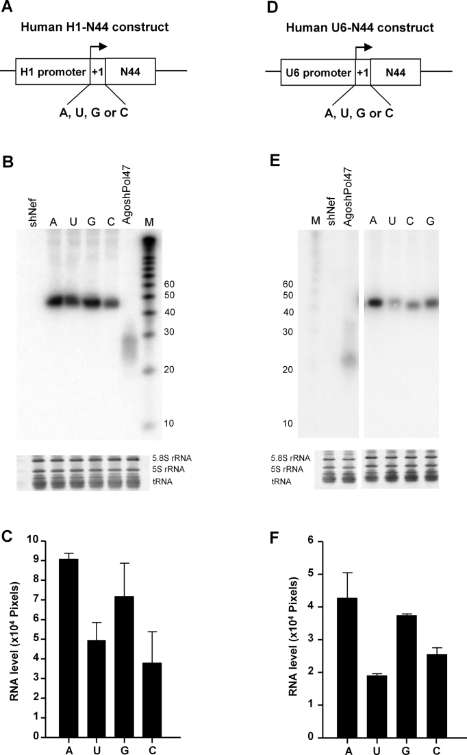 Figure 5.