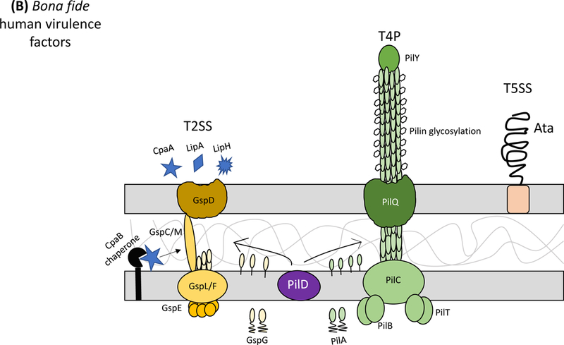 Figure 1: