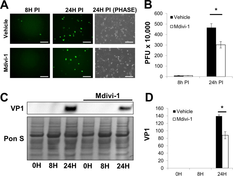 FIG 6