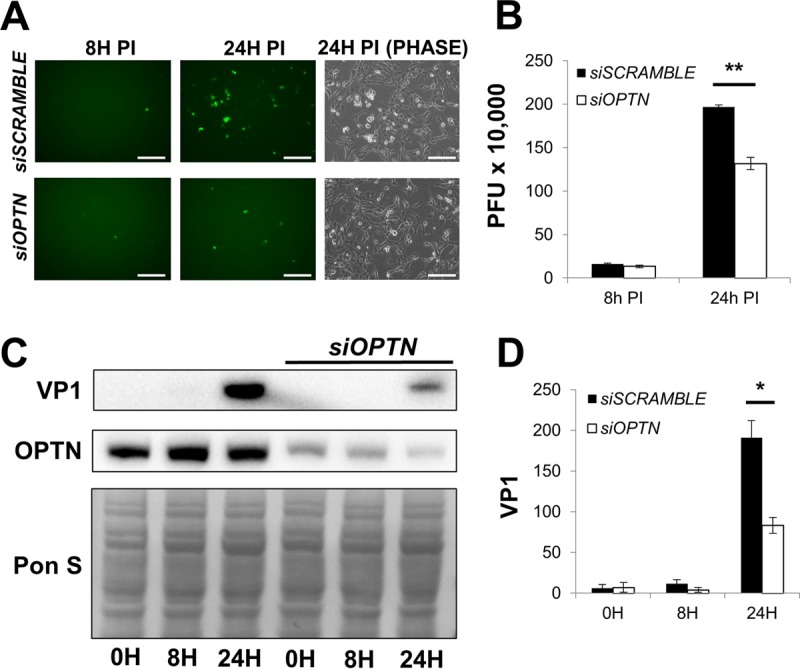 FIG 8