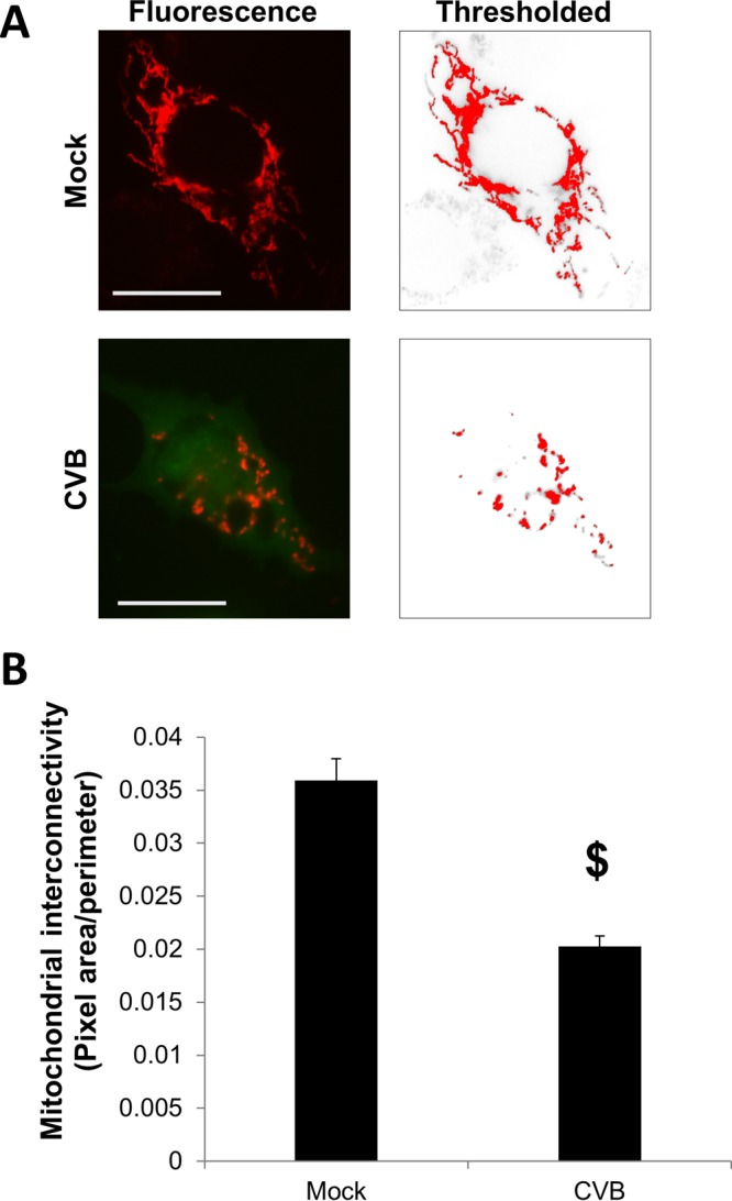 FIG 3