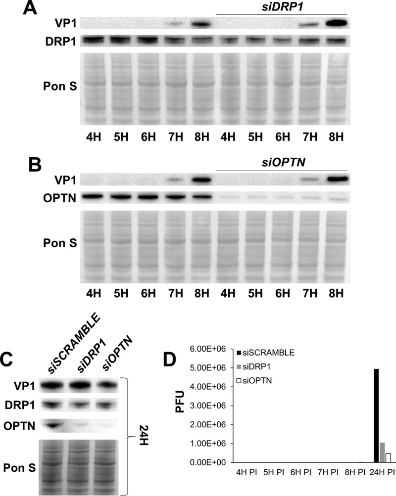 FIG 9