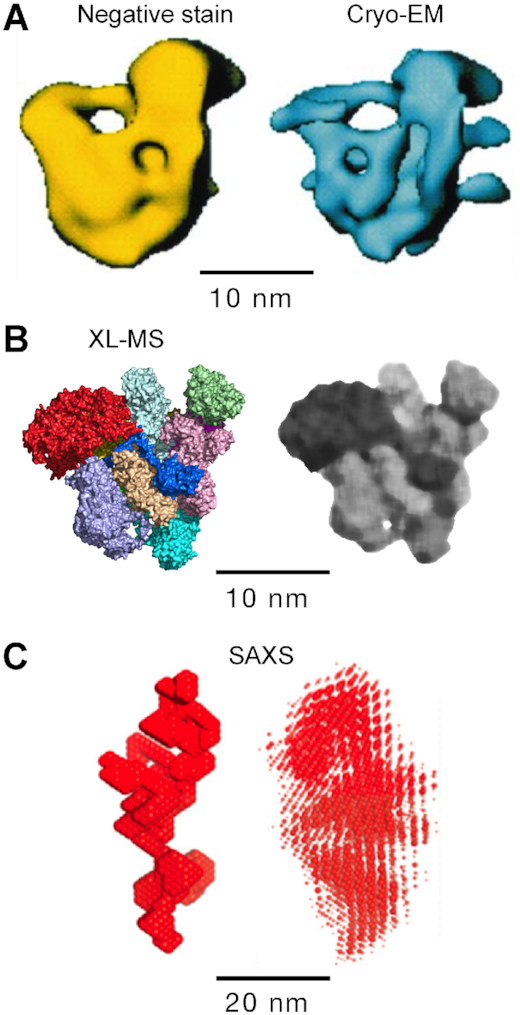 Figure 9.